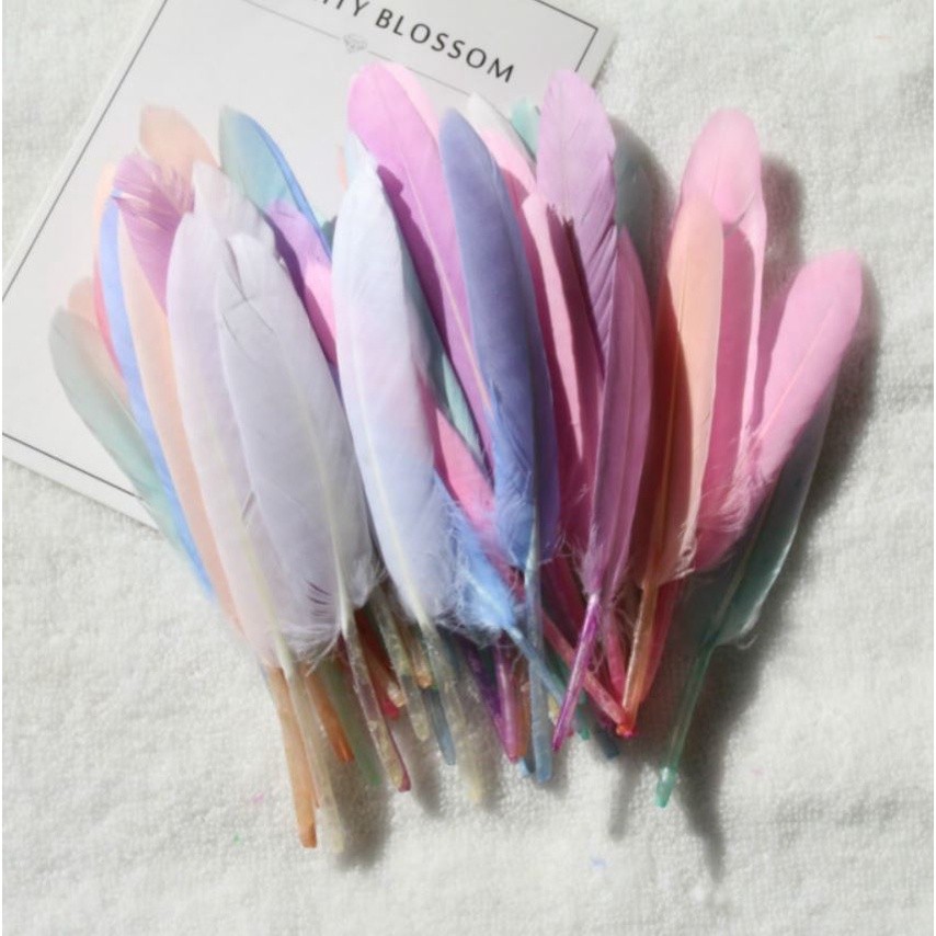 Goose Duck Feathers crafts 10-15CM Dyed Colorful Feather for jewelry making DIY Home plumes Party decoration(1188L)
